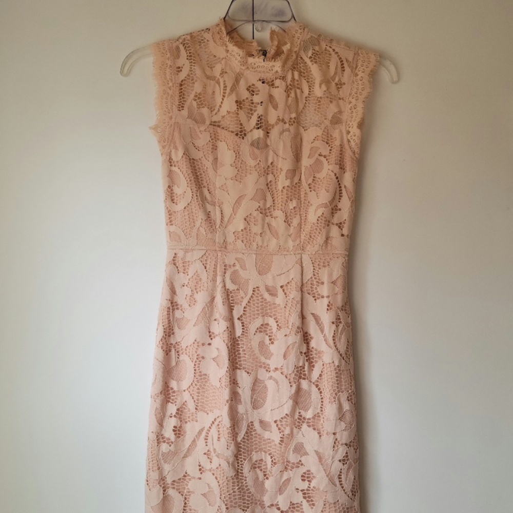 Pinkish Nude/Beige Lace Dress